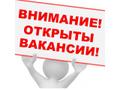Менеджер по подбору персонала.
